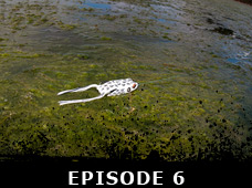 Episode 6: One Two Punch Bass