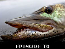 20th Season Episode 10 | Angler & Hunter Television