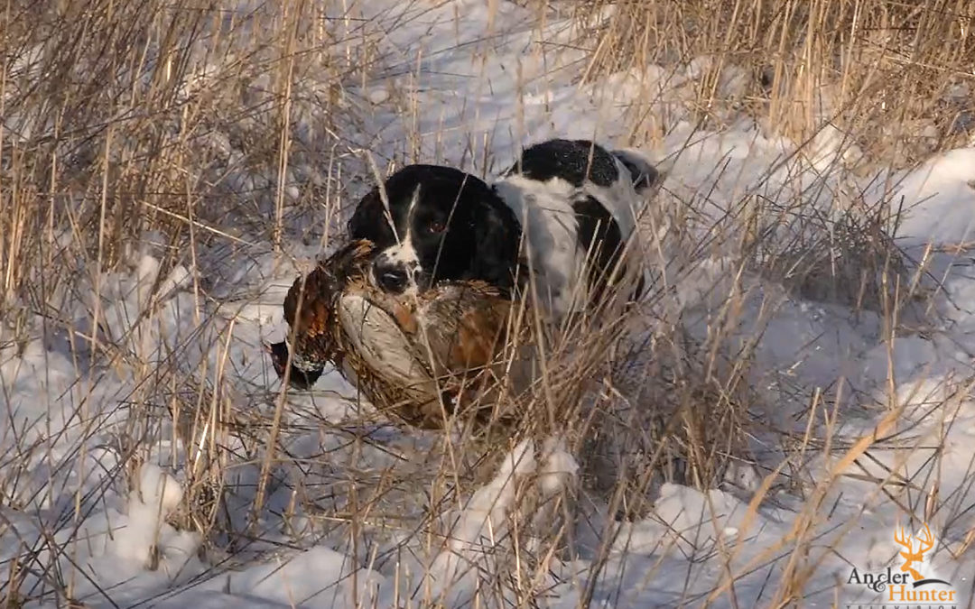 Angler & Hunter Television