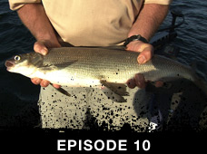 Episode 10: Lake Simcoe Smorgasbord