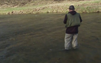 Episode 2: Spinning Steelhead