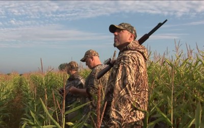 Episode 3: Ontario Dove Hunt