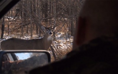 Episode 8: Thunder Bay Deer