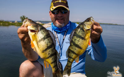 Episode 3: Cranked up Perch