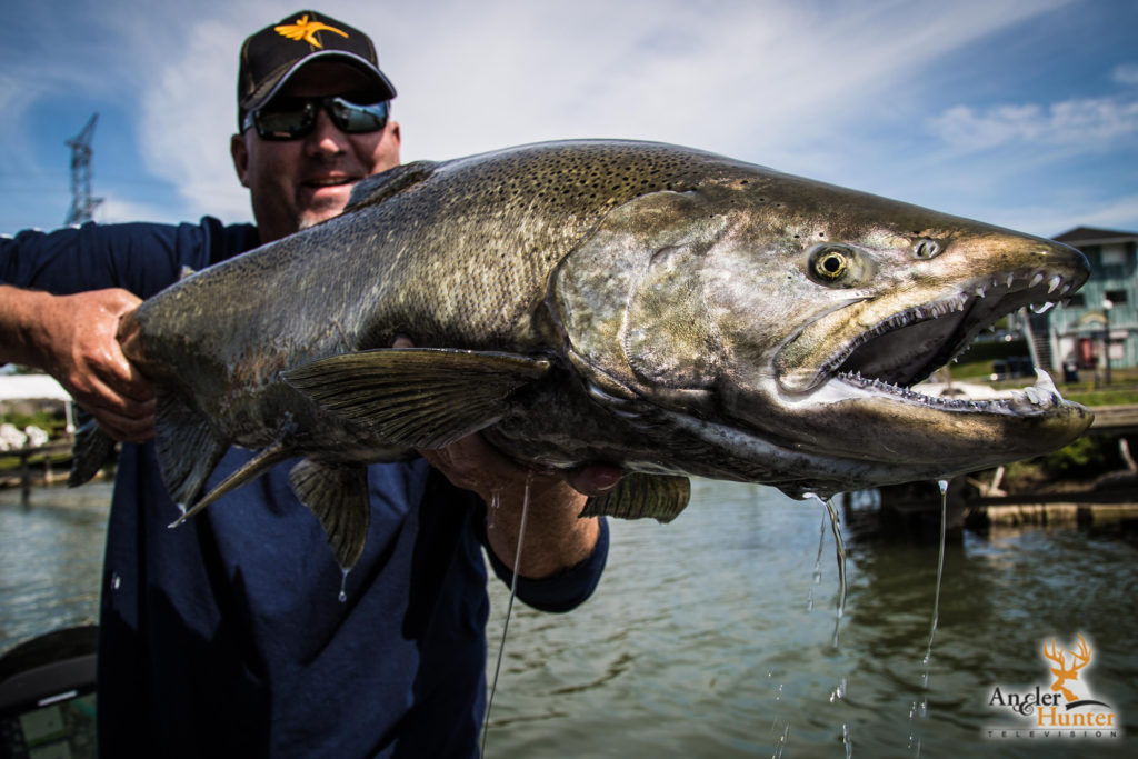 Episode 9 Great Ontario Salmon Derby Angler & Hunter Television