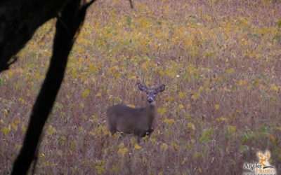 Episode 6:  Rack Stacker Stak’D Whitetail hunt