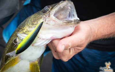 Episode 9: Cranking Summer Walleye