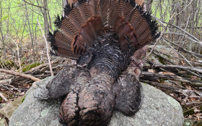 Episode 2: Ontario Spring Turkey Double