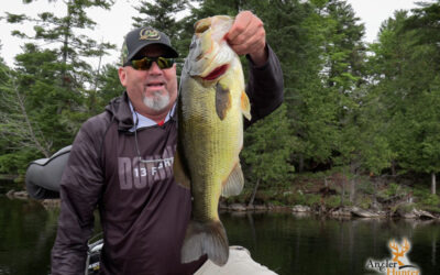 Mike’s 5 Best Setups for Bass