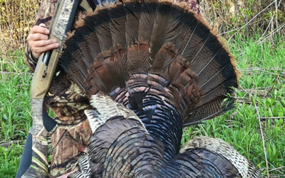 Get the Drop on a Gobbler