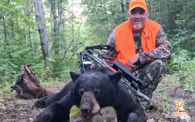 Maiden Bay Bear Hunt