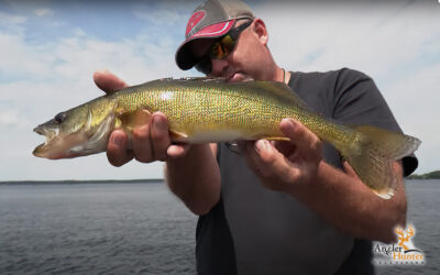 Weedline Walleye