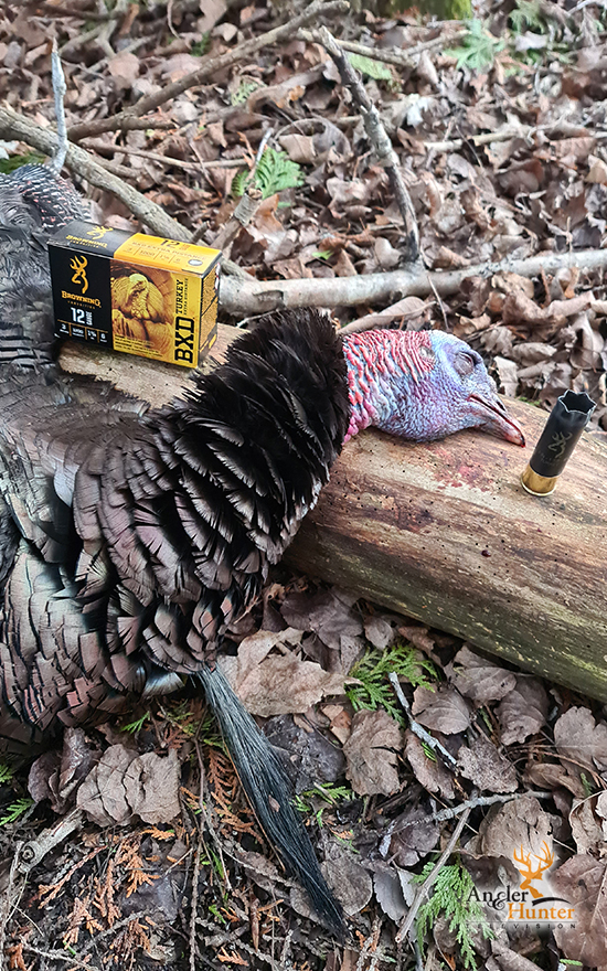 2025 Season | Spring Turkey
