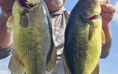 Crush City Bass