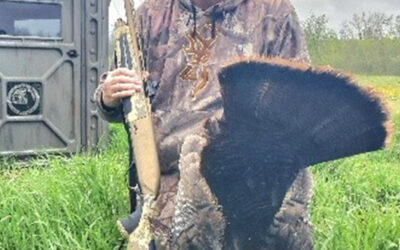 Try, Try Again for Wild Turkey